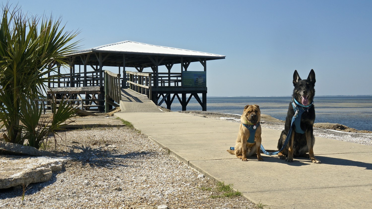 Forgotten Coast - Port St. Joe, Florida