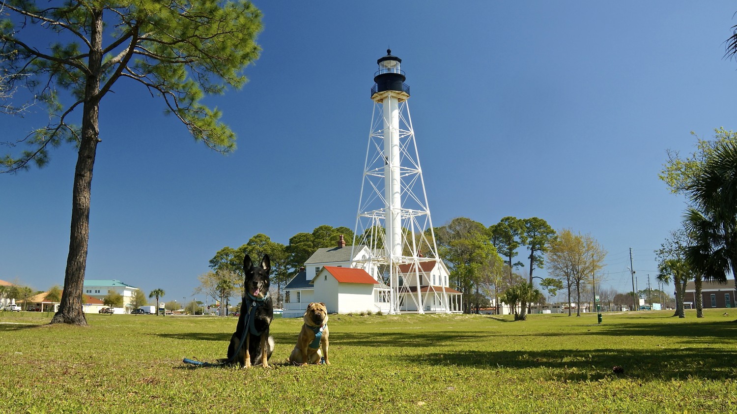 Forgotten Coast - Port St. Joe, Florida