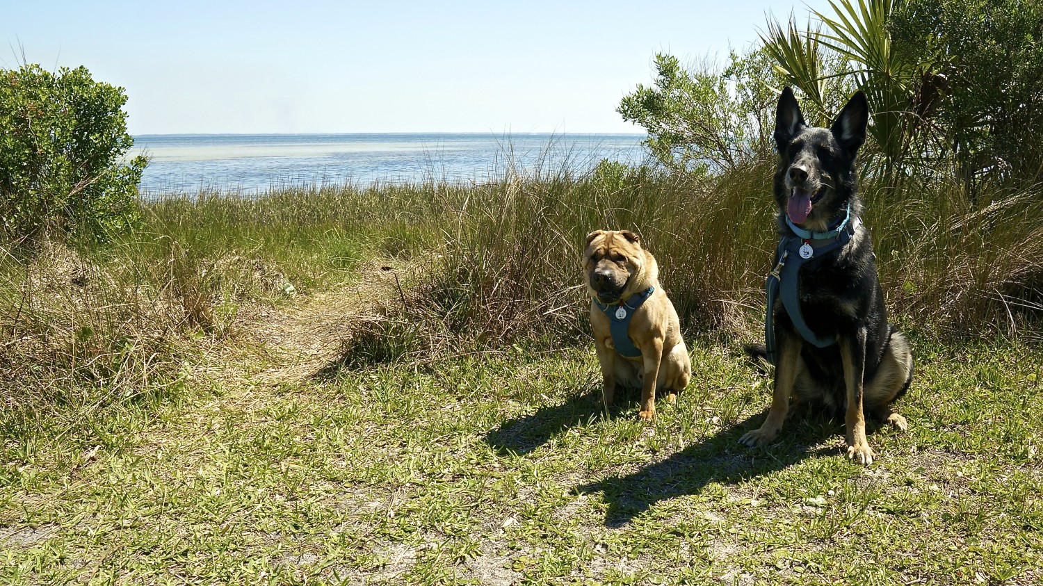 Forgotten Coast - Cape San Blas, FL