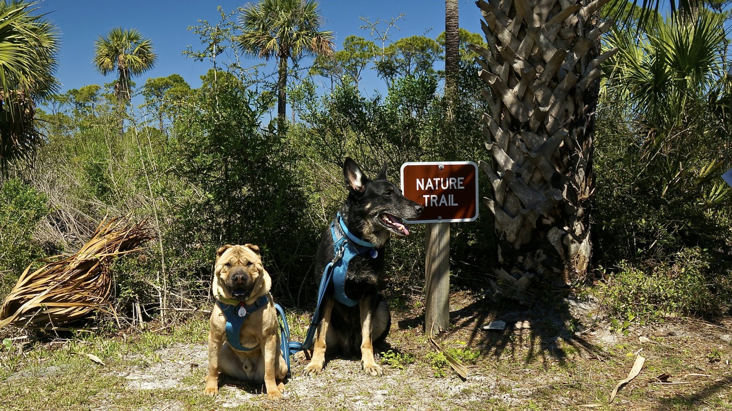 Forgotten Coast - Cape San Blas, FL