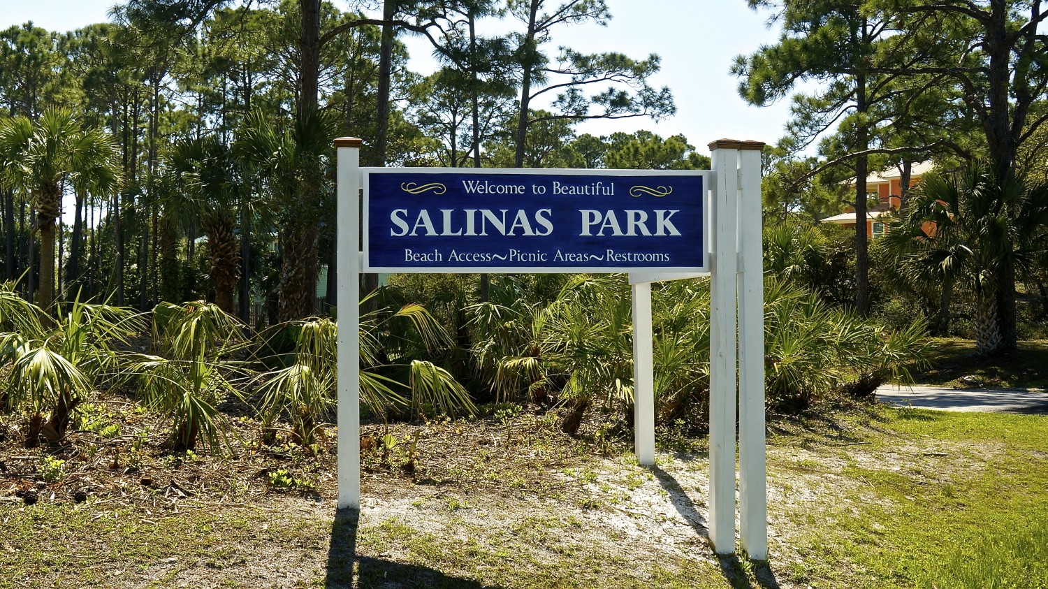 Forgotten Coast - Cape San Blas, Florida