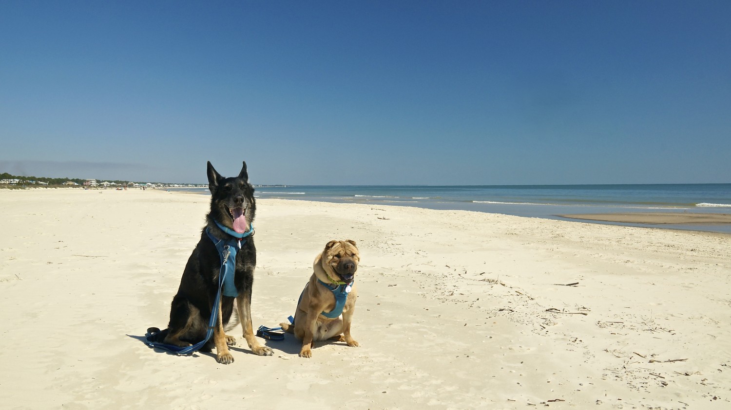 Forgotten Coast - Cape San Blas, Florida