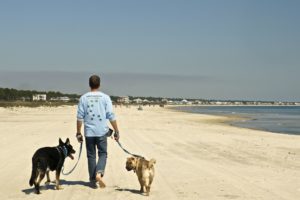 Forgotten Coast - Cape San Blas, FL