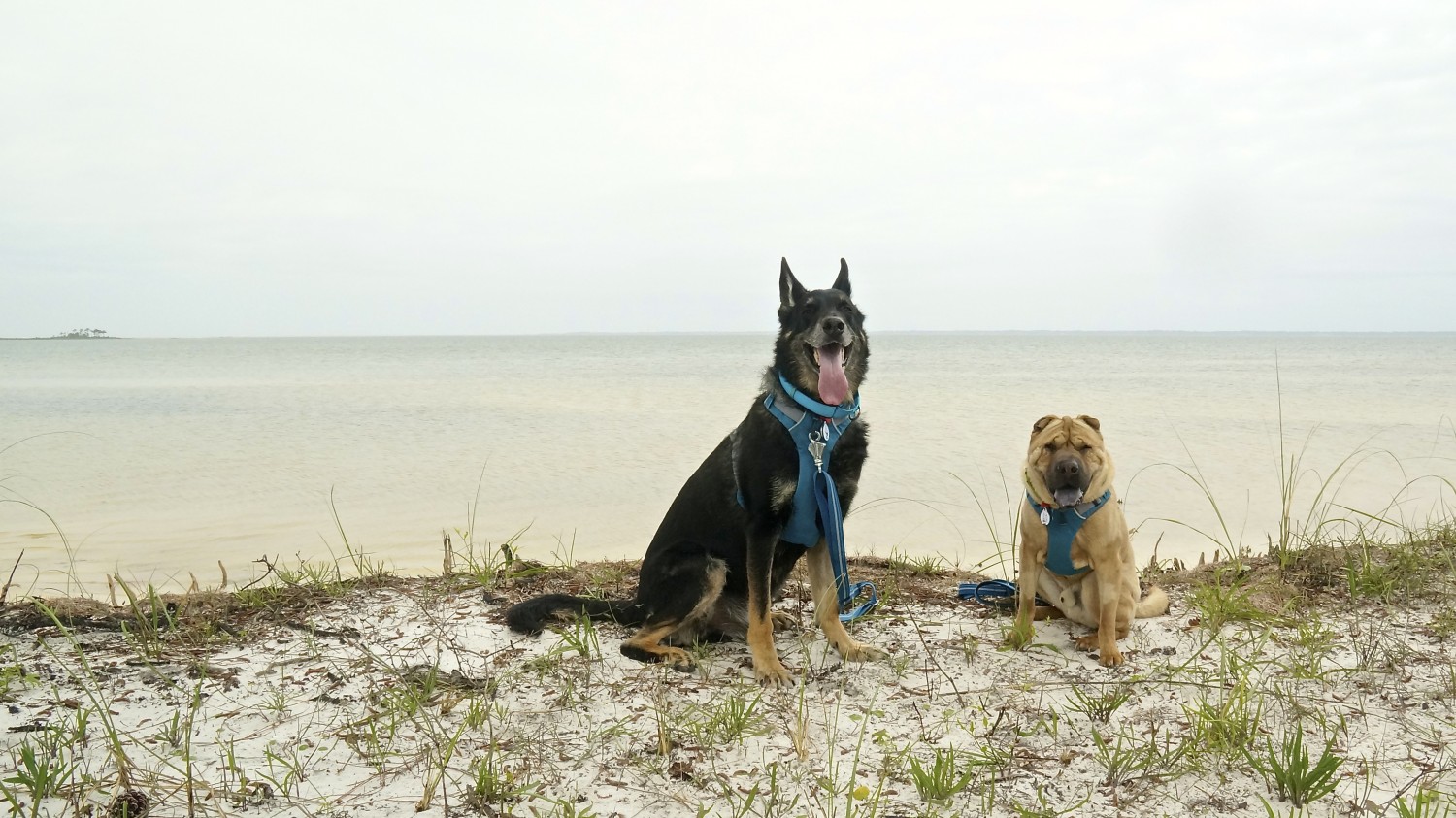 Forgotten Coast - St. George Island