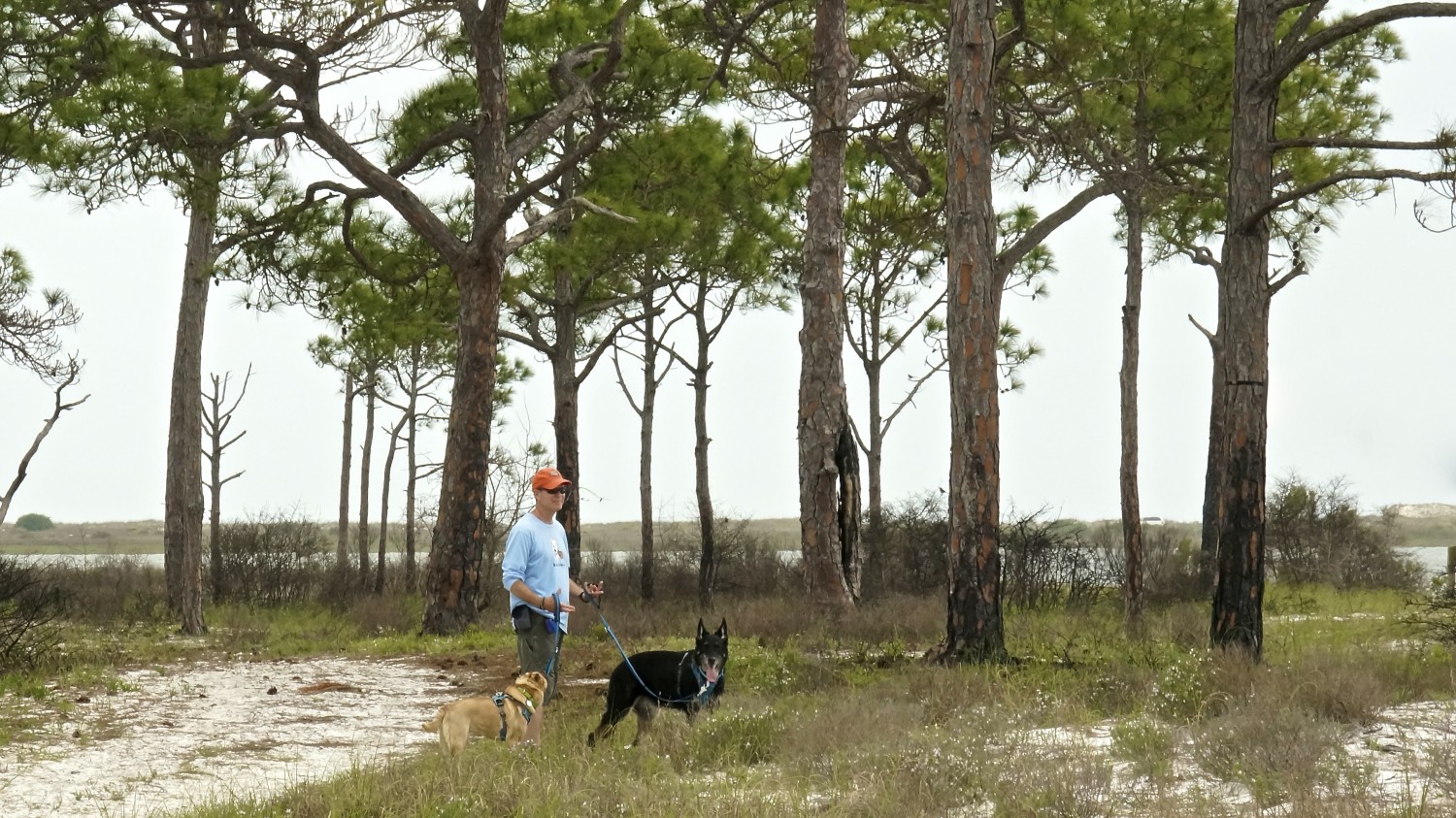 Forgotten Coast - St. George Island