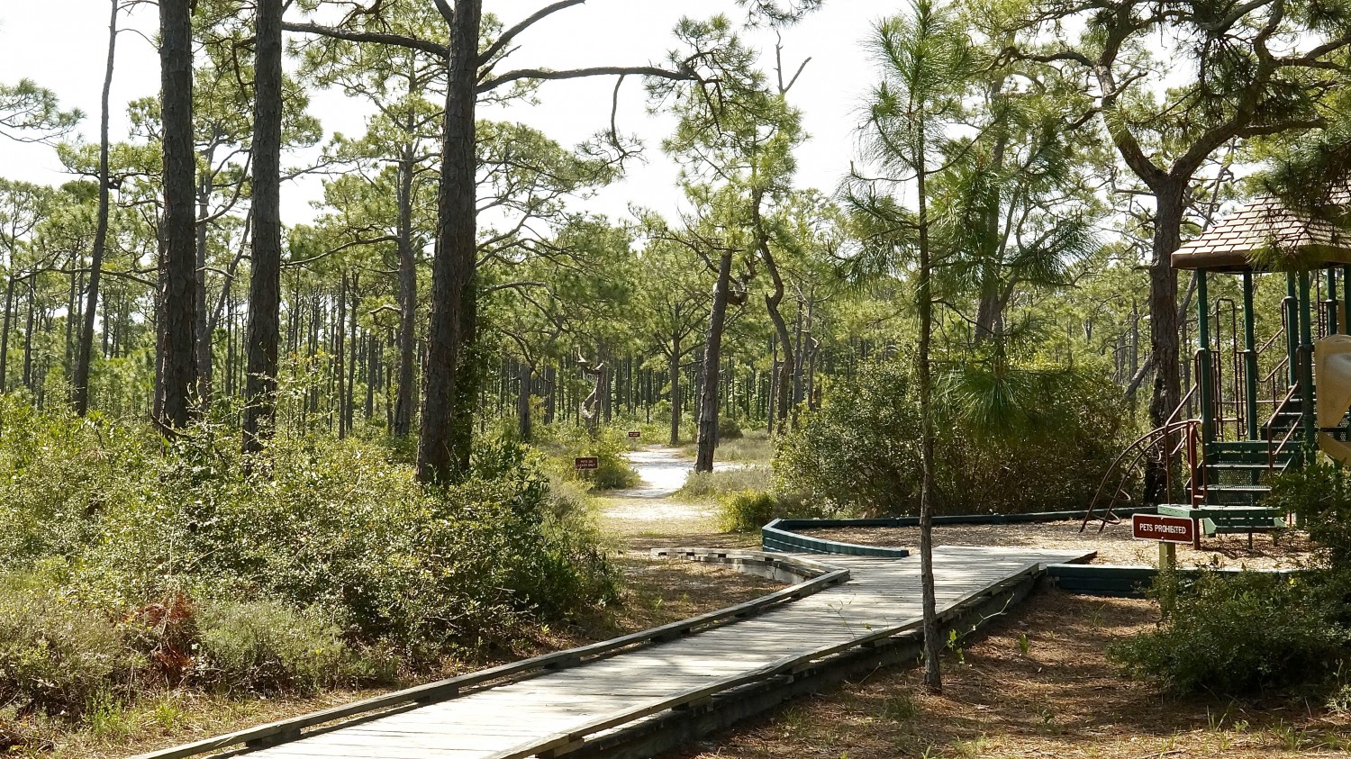 Forgotten Coast - St. George Island