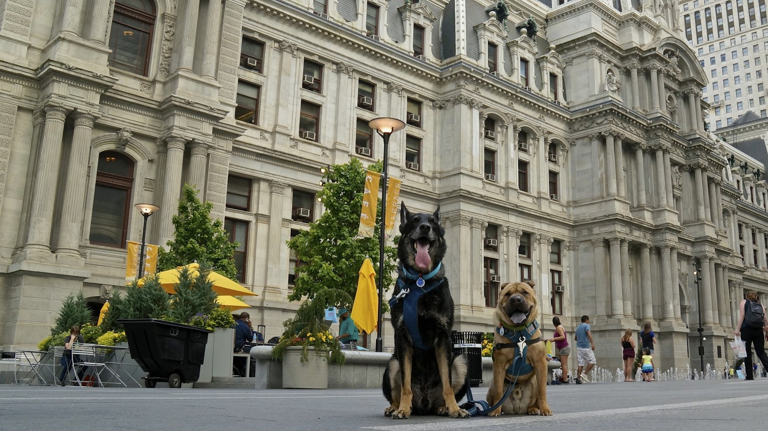 City Hall and Dilworth Park - Philadelphia, PA