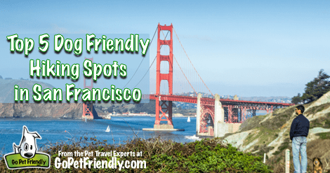 Top 5 Dog Friendly Hiking Spots in San Francisco from the Pet Travel Experts at GoPetFriendly.com