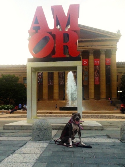 Ruka at the Art Museum - Philadelphia, PA