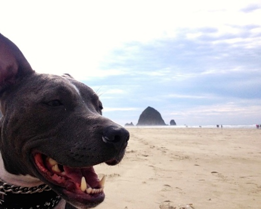 Ruka at Cannon Beach