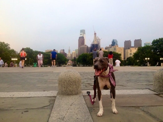 Ruka running Rocky Steps - Philadelphia, PA