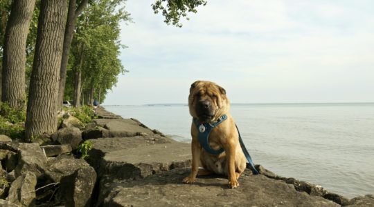 East Harbor State Park - Lakeside, OH