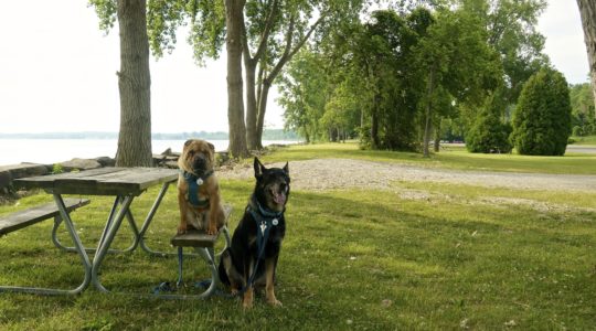 East Harbor State Park - Lakeside, OH