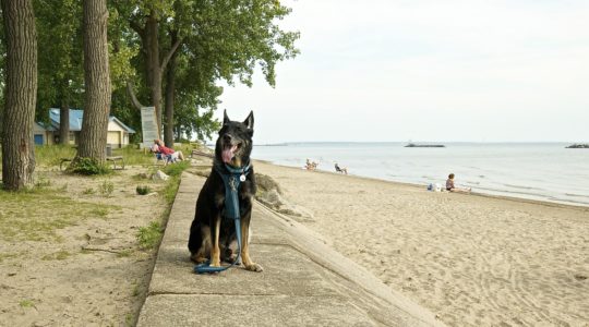 East Harbor State Park - Lakeside, OH