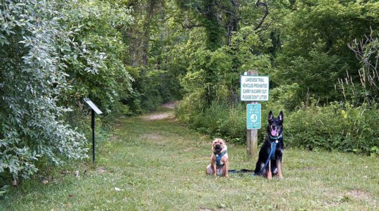 East Harbor State Park - Lakeside, OH