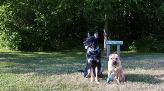 East Harbor State Park - Lakeside, OH