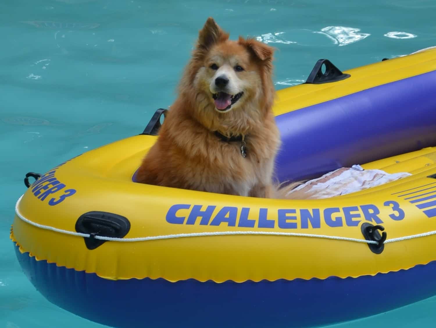 Water Safety Photo