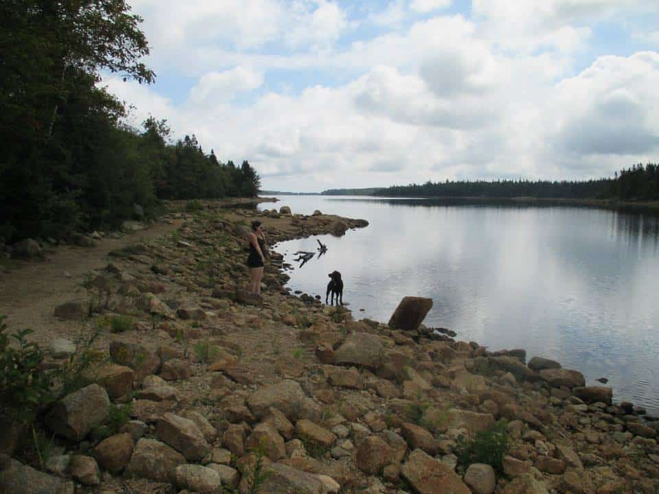 Dog Friendly Hiking at Long Lake Provincial Park - Halifax, NS