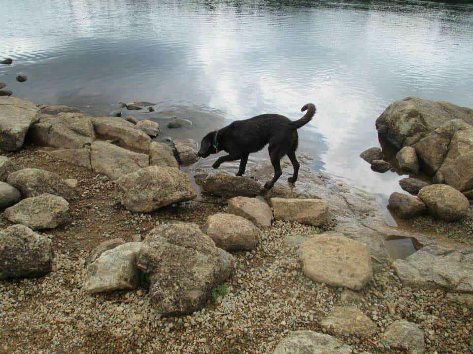 Finlay - Hiking in Halifax, NS