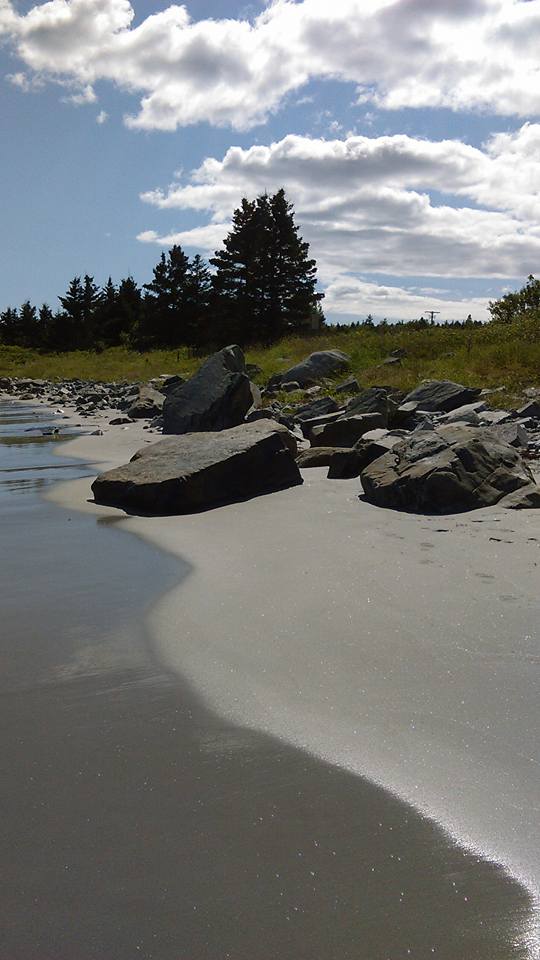 Dog Friendly Hiking at Bayswater Beach - Halifax, NS