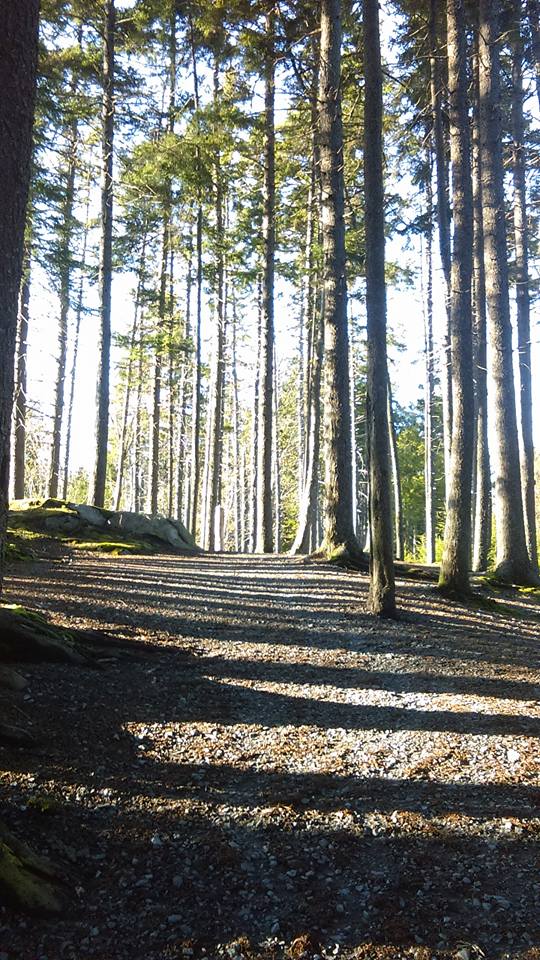 Dog Friendly Hiking at Hemlock Ravine - Halifax, NS