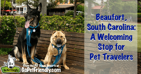 Beaufort, South Carolina: A Welcoming Stop for Pet Travelers - From the Pet Travel Experts at GoPetFriendly.com