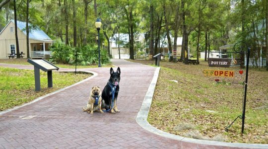 Stephen Foster State Park - White Springs, FL