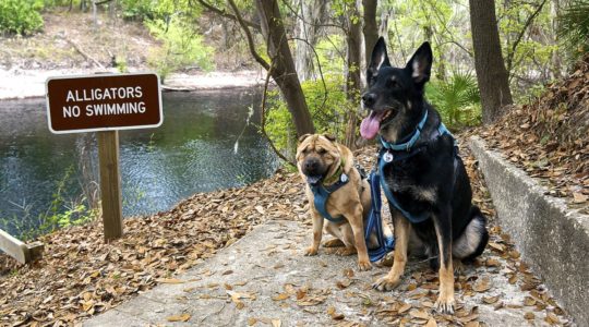 Stephen Foster State Park - White Springs, FL