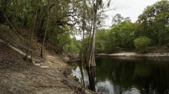 Stephen Foster State Park - White Springs, FL