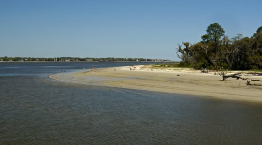 Driftwood Beach - Jekyll Island, GA