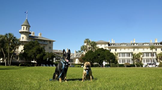 Exploring Jekyll Island, GA