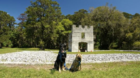 Fort Frederica - St. Simons Island, GA