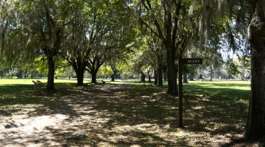 Fort Frederica - St. Simons Island, GA