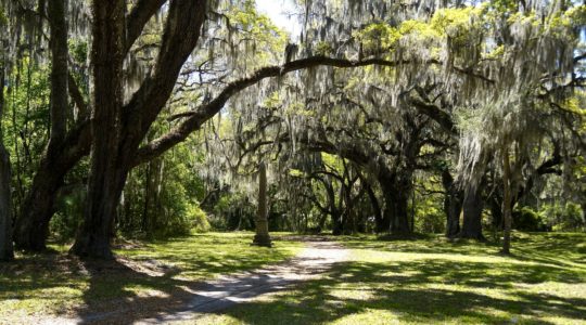 Fort Frederica - St. Simons Island, GA