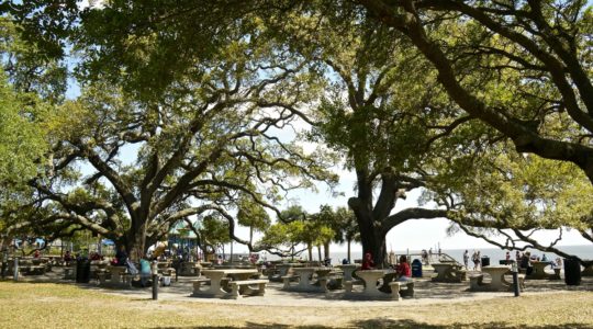 Pier Village - St. Simons Island, GA