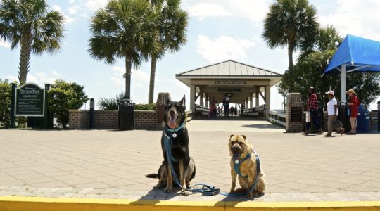 Pier Village - St. Simons Island, GA