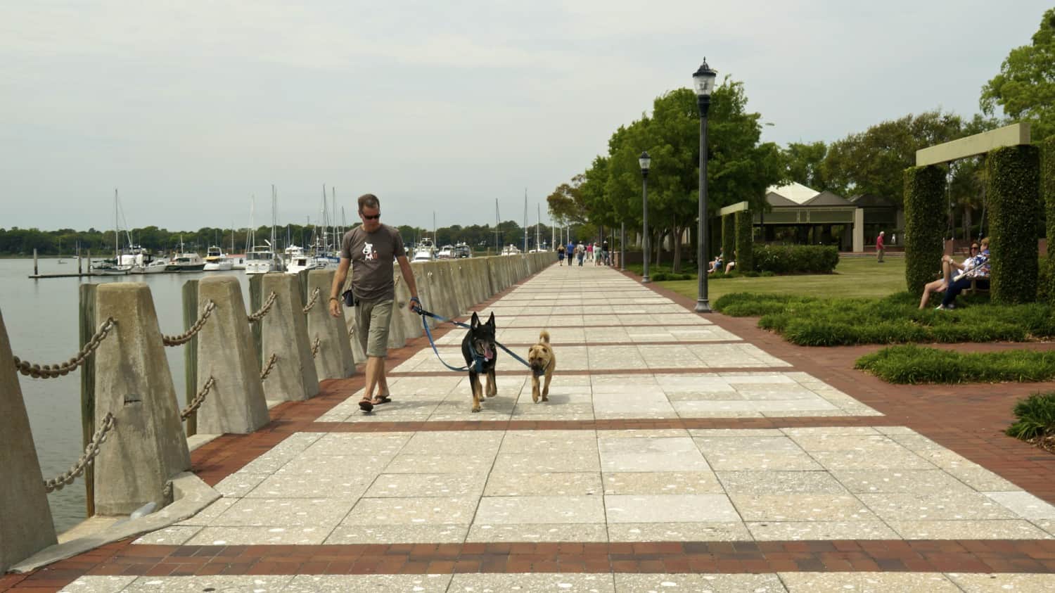 Pet Friendly Beaufort, SC