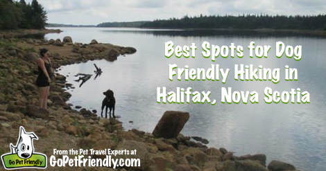 Best Spots for Dog Friendly Hiking in Halifax