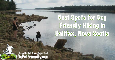 Best Spots for Dog Friendly Hiking in Halifax, NS from GoPetFriendly.com