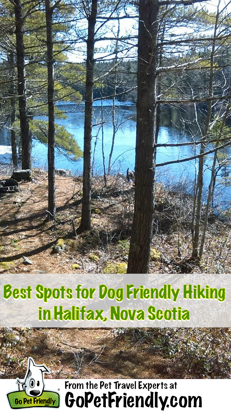 Best Spots for Dog Friendly Hiking in Halifax, NS from GoPetFriendly.com