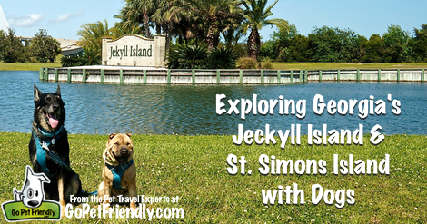 Exploring Georgia's Jeckyll Island and St. Simons Island with Dogs from the Pet Travel Experts at GoPetFriendy.com