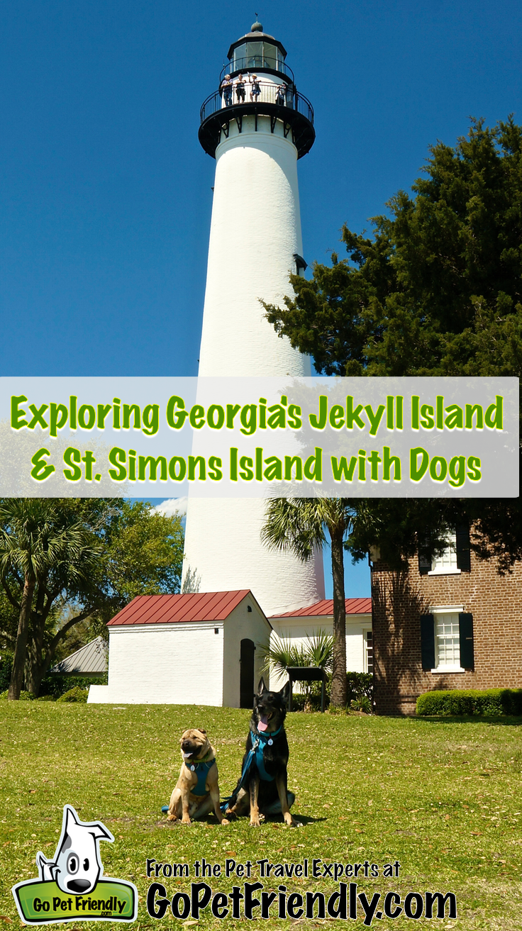 Exploring Georgia's Jeckyll Island and St. Simons Island with Dogs from the Pet Travel Experts at GoPetFriendy.com