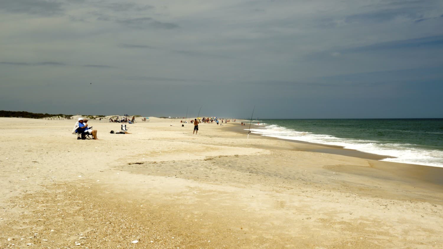 Dog Friendly Beach at Assateague Island National Seashore