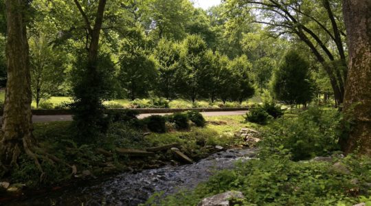 Museum Park - West Reading, PA