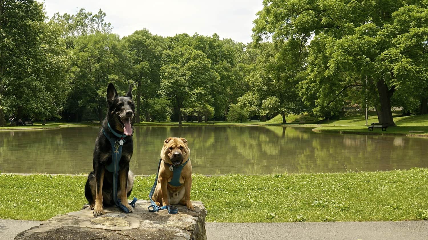 Museum Park - West Reading, PA