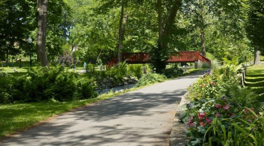 Museum Park - West Reading, PA