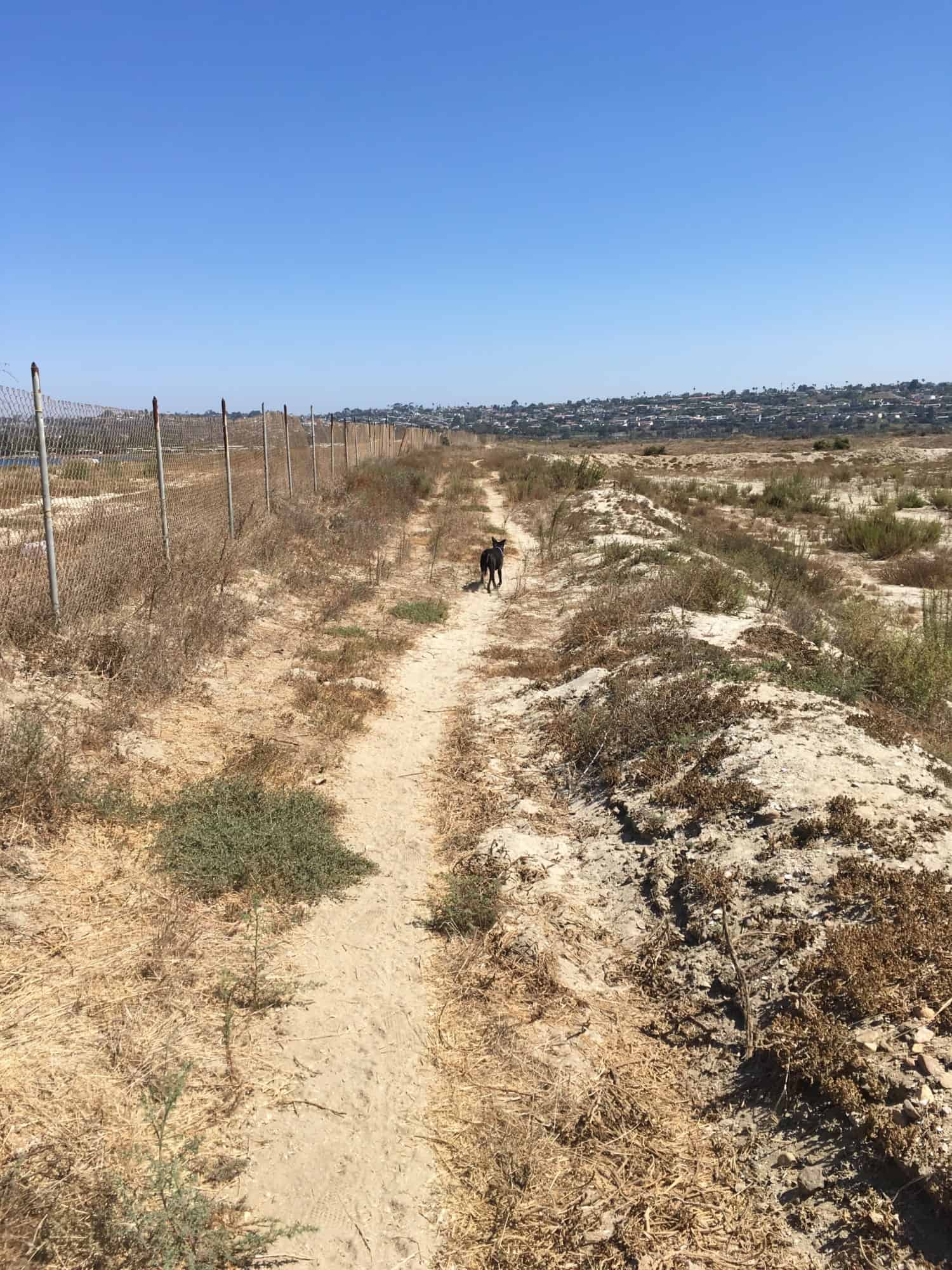 Fiesta Island - San Diego, CA