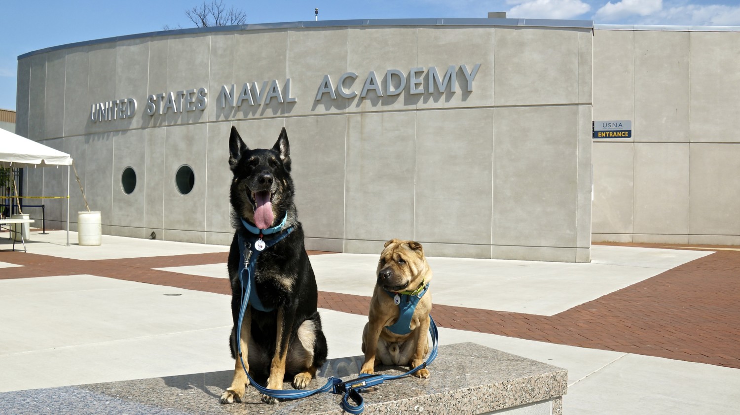 Visiting Annapolis, MD with GoPetFriendly.com