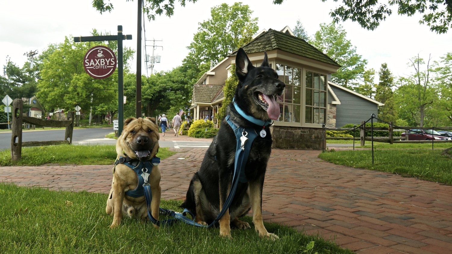 Dog Friendly Peddlers Village - Bucks County, PA