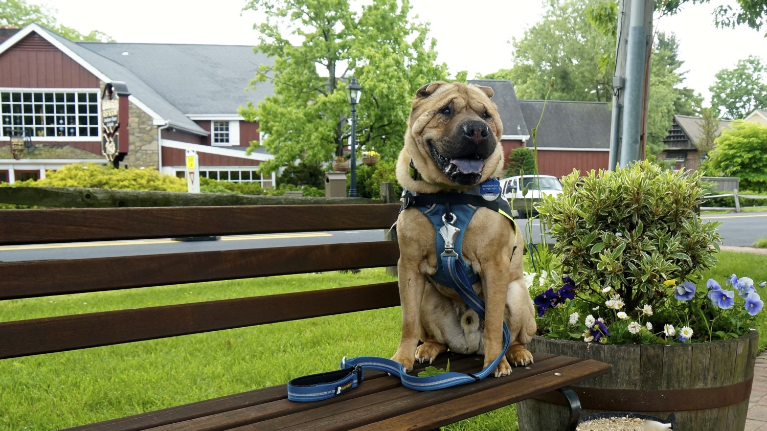 Dog Friendly Peddlers Village - Bucks County, PA